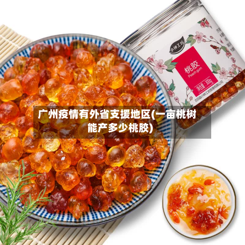 广州疫情有外省支援地区(一亩桃树能产多少桃胶)-第1张图片
