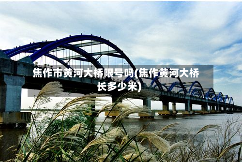 焦作市黄河大桥限号吗(焦作黄河大桥长多少米)-第1张图片