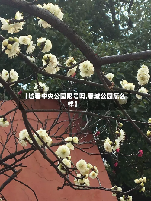 【城春中央公园限号吗,春城公园怎么样】-第1张图片