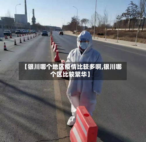 【银川哪个地区疫情比较多啊,银川哪个区比较繁华】-第1张图片