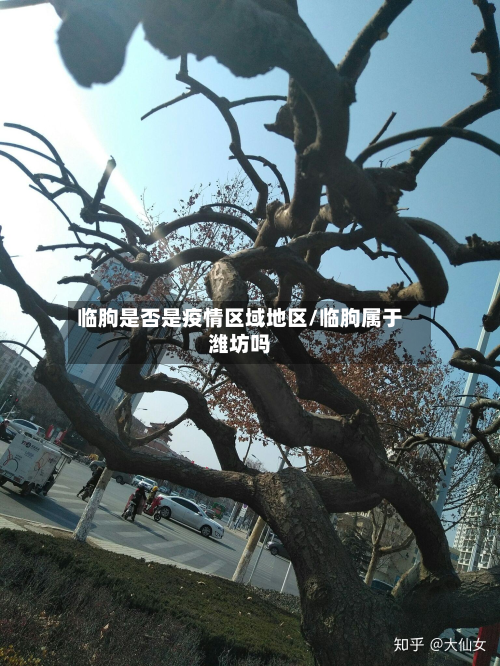 临朐是否是疫情区域地区/临朐属于潍坊吗-第1张图片