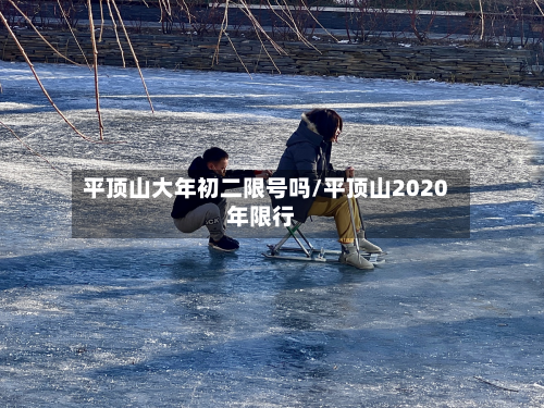平顶山大年初二限号吗/平顶山2020年限行-第1张图片