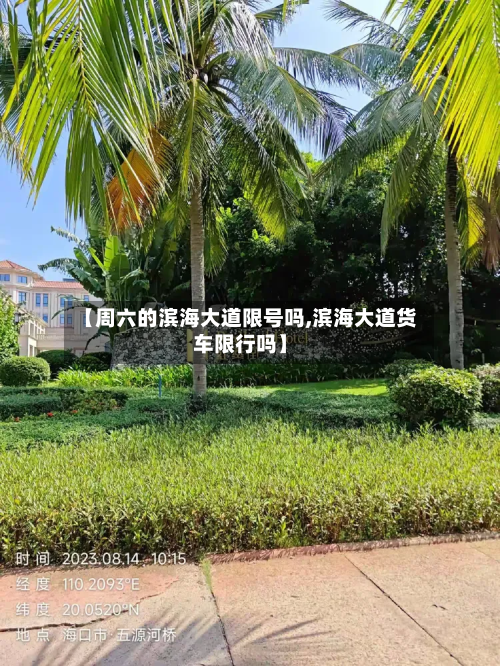 【周六的滨海大道限号吗,滨海大道货车限行吗】-第1张图片