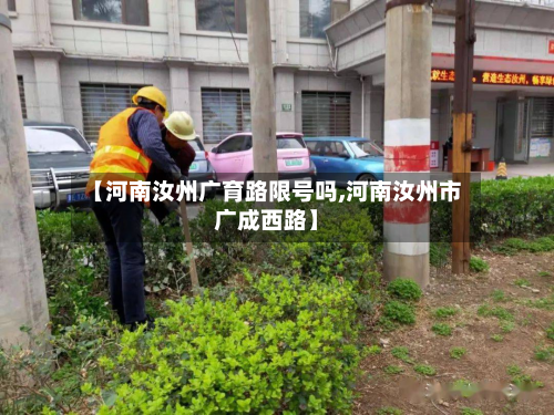 【河南汝州广育路限号吗,河南汝州市广成西路】-第1张图片