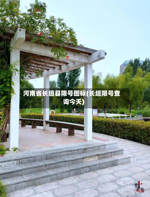 河南省长垣县限号图标(长垣限号查询今天)-第1张图片