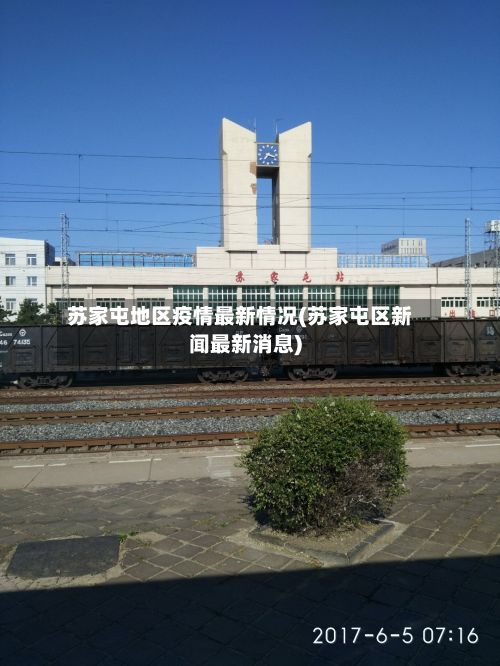 苏家屯地区疫情最新情况(苏家屯区新闻最新消息)-第1张图片
