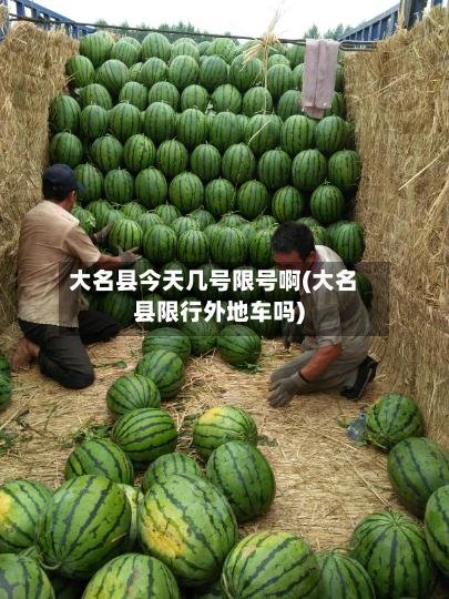大名县今天几号限号啊(大名县限行外地车吗)-第1张图片