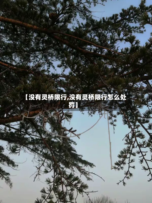 【没有灵桥限行,没有灵桥限行怎么处罚】-第1张图片