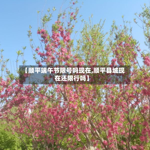 【顺平端午节限号吗现在,顺平县城现在还限行吗】-第1张图片