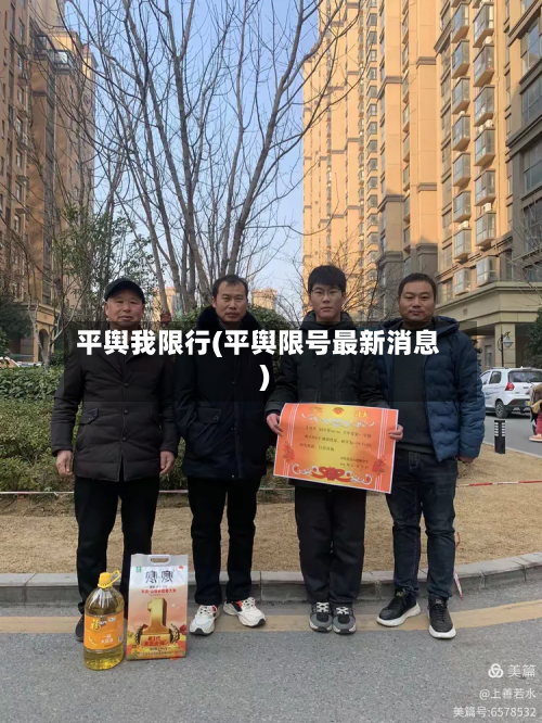 平舆我限行(平舆限号最新消息)-第1张图片