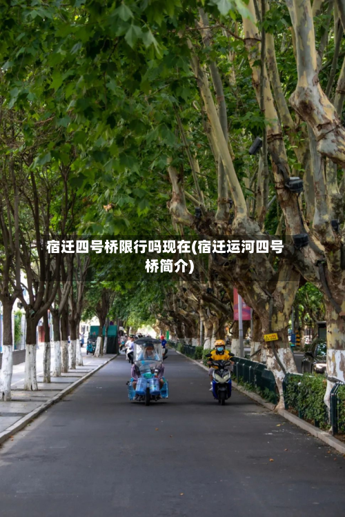 宿迁四号桥限行吗现在(宿迁运河四号桥简介)-第1张图片