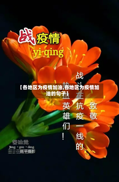 【各地区为疫情加油,各地区为疫情加油的句子】-第1张图片