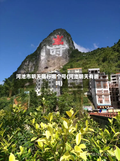 河池市明天限行哪个号(河池明天有雨吗)-第1张图片
