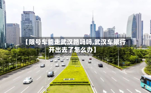 【限号车能走武汉路吗吗,武汉车限行开出去了怎么办】-第1张图片