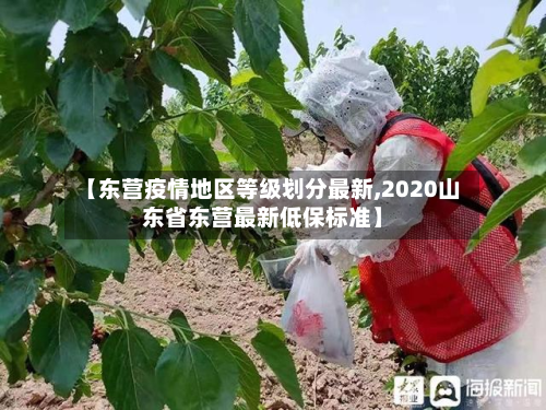 【东营疫情地区等级划分最新,2020山东省东营最新低保标准】-第1张图片