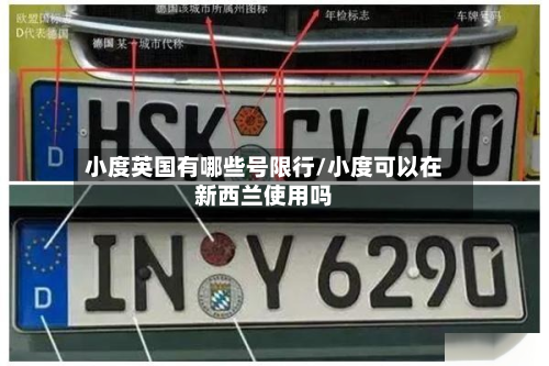小度英国有哪些号限行/小度可以在新西兰使用吗-第1张图片