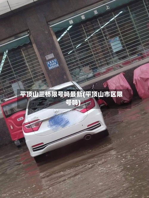 平顶山三桥限号吗最新(平顶山市区限号吗)-第1张图片