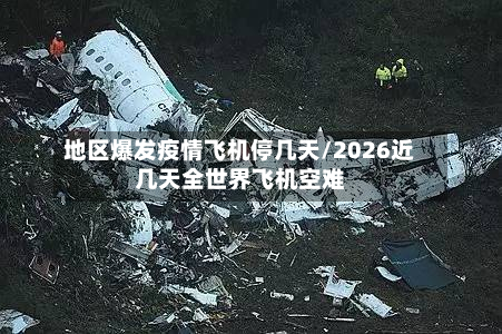 地区爆发疫情飞机停几天/2026近几天全世界飞机空难-第1张图片