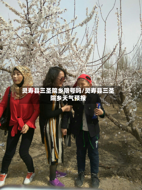 灵寿县三圣院乡限号吗/灵寿县三圣院乡天气预报-第1张图片