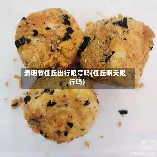 清明节任丘出行限号吗(任丘明天限行吗)-第1张图片