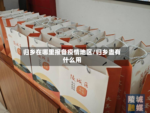 归乡在哪里报备疫情地区/归乡蛊有什么用-第1张图片