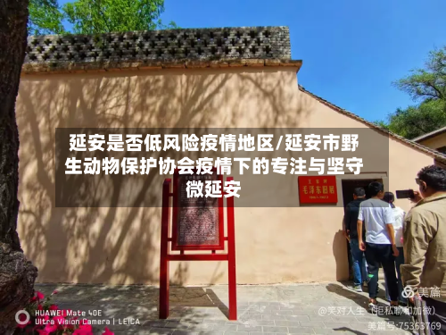 延安是否低风险疫情地区/延安市野生动物保护协会疫情下的专注与坚守微延安-第1张图片