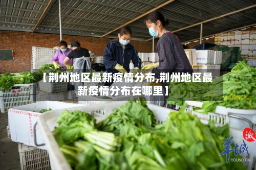 【荆州地区最新疫情分布,荆州地区最新疫情分布在哪里】-第1张图片