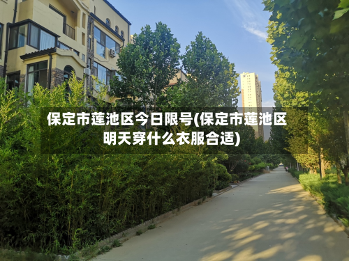 保定市莲池区今日限号(保定市莲池区明天穿什么衣服合适)-第1张图片