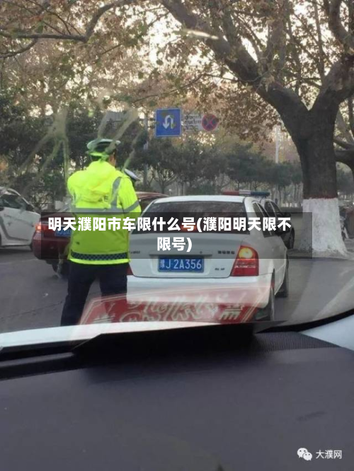明天濮阳市车限什么号(濮阳明天限不限号)-第1张图片