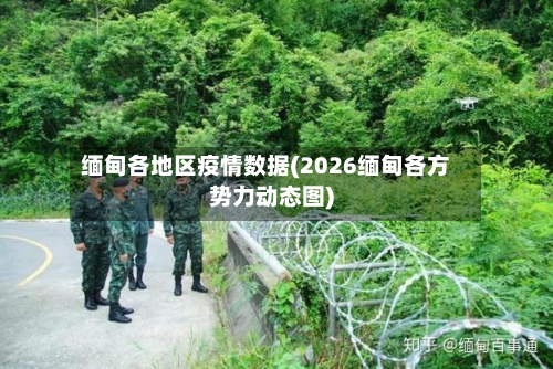 缅甸各地区疫情数据(2026缅甸各方势力动态图)-第1张图片
