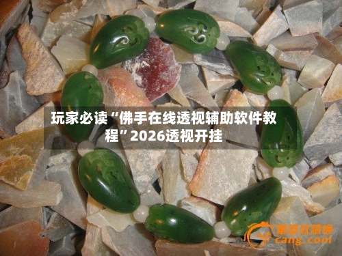 玩家必读“佛手在线透视辅助软件教程	”2026透视开挂-第2张图片