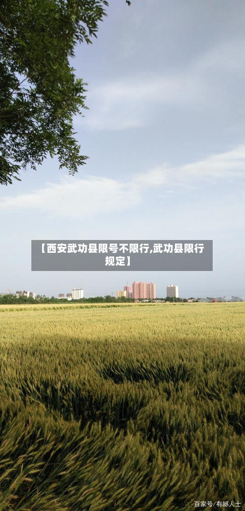【西安武功县限号不限行,武功县限行规定】-第1张图片