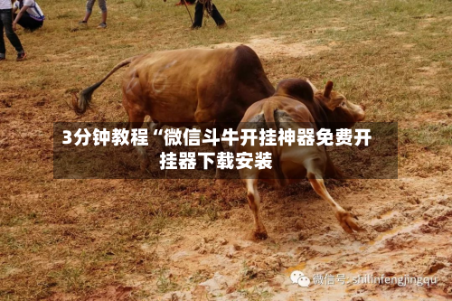 3分钟教程“微信斗牛开挂神器免费开挂器下载安装-第1张图片
