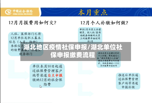 湖北地区疫情社保申报/湖北单位社保申报缴费流程-第1张图片