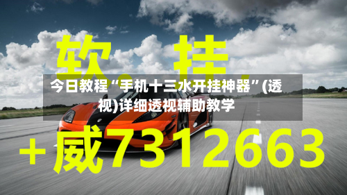 今日教程“手机十三水开挂神器”(透视)详细透视辅助教学-第2张图片