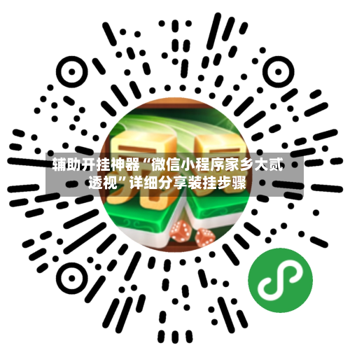 辅助开挂神器“微信小程序家乡大贰透视	”详细分享装挂步骤-第3张图片