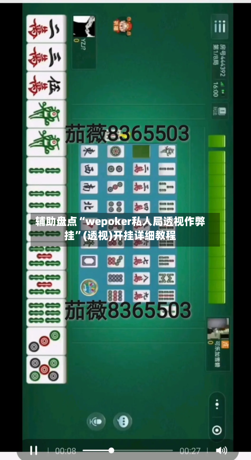 辅助盘点“wepoker私人局透视作弊挂”(透视)开挂详细教程-第2张图片