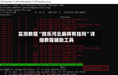 实测教程“微乐河北麻将有挂吗	”详细教程辅助工具-第2张图片
