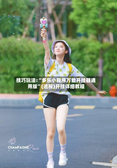 技巧玩法:“多乐小程序万能开挂器通用版	”(透视)开挂详细教程-第2张图片