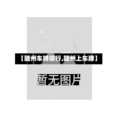 【随州车牌限行,随州上车牌】-第1张图片
