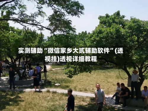 实测辅助“微信家乡大贰辅助软件”(透视挂)透视详细教程-第3张图片