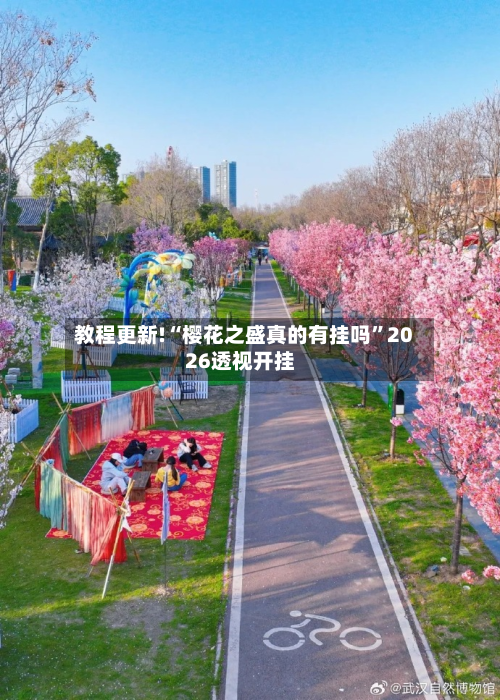 教程更新!“樱花之盛真的有挂吗	”2026透视开挂-第2张图片