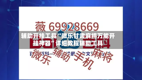 辅助开挂工具“微乐甘肃麻将万能开挂神器”详细教程辅助工具-第2张图片