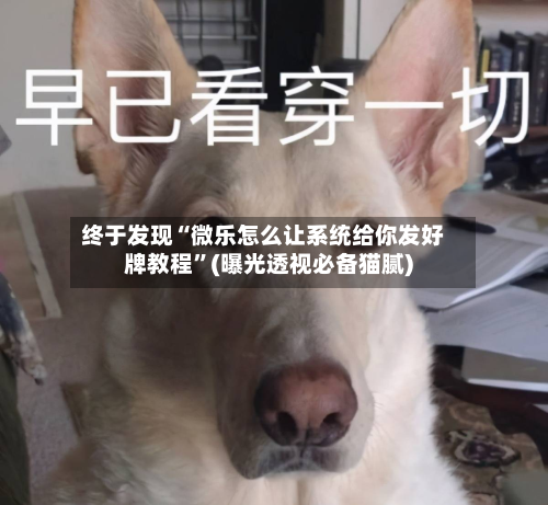 终于发现“微乐怎么让系统给你发好牌教程	”(曝光透视必备猫腻)-第2张图片
