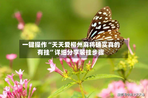 一键操作“天天爱柳州麻将确实真的有挂”详细分享装挂步骤-第3张图片
