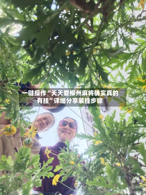 一键操作“天天爱柳州麻将确实真的有挂”详细分享装挂步骤-第2张图片
