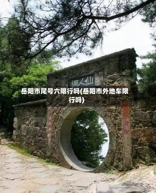 岳阳市尾号六限行吗(岳阳市外地车限行吗)-第1张图片