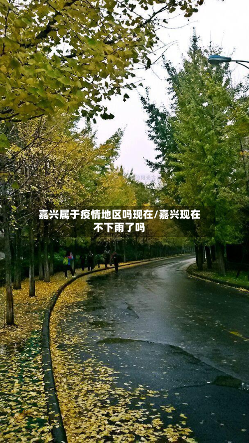 嘉兴属于疫情地区吗现在/嘉兴现在不下雨了吗-第1张图片