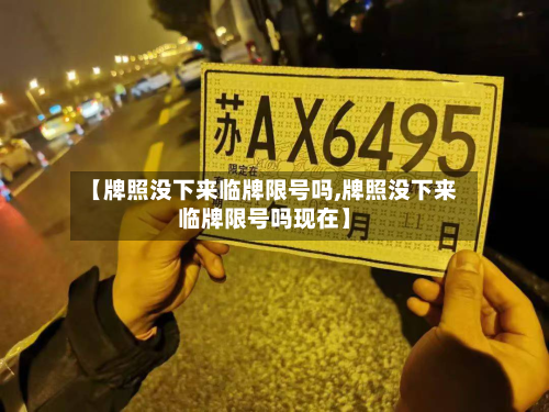 【牌照没下来临牌限号吗,牌照没下来临牌限号吗现在】-第1张图片
