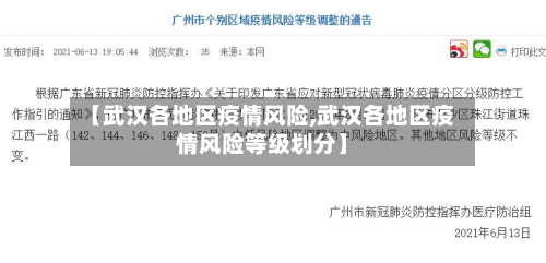 【武汉各地区疫情风险,武汉各地区疫情风险等级划分】-第1张图片